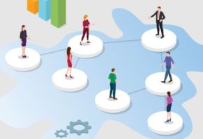 Organizational Structure